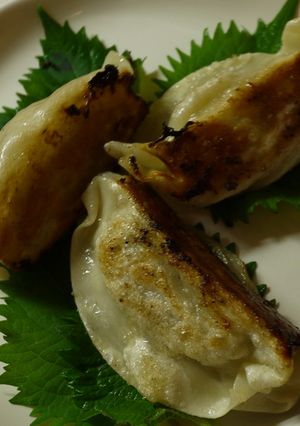 王将餃子の紫蘇巻き-レシピのメイン写真