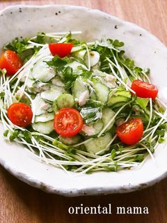 夏!紫蘇香る胡瓜のつなマヨサラダ-レシピのメイン写真