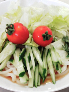 夏にサッパリサラダうどん-レシピのメイン写真