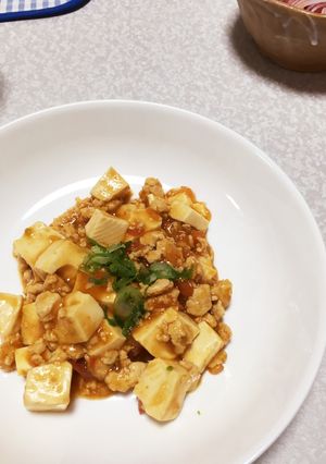 トマトで麻婆豆腐(コンロ１つでOK！)-レシピのメイン写真