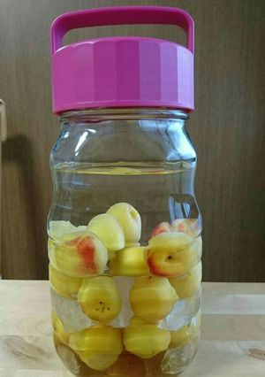 梅酒アレンジ② はちみつ梅酒-レシピのメイン写真