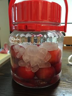 我が家のすもも酒-レシピのメイン写真