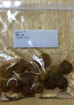 少量で梅シロップ(上白糖編)-レシピのメイン写真