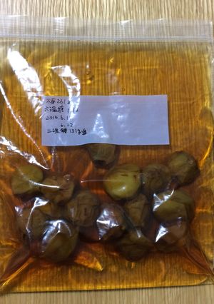 少量で梅シロップ(三温糖編)-レシピのメイン写真