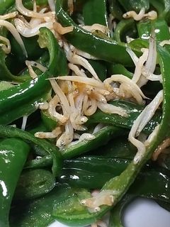 ピーマンとしらすの炒め物-レシピのメイン写真
