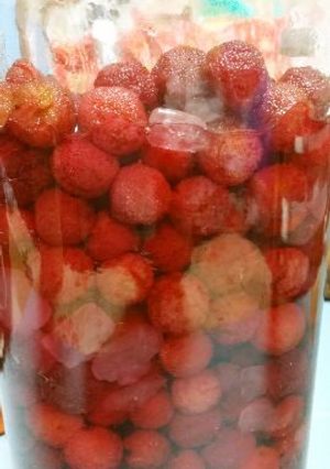 やまももシロップ-レシピのメイン写真