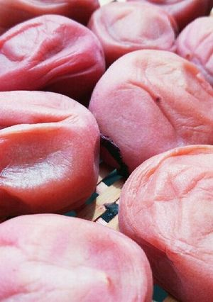 完熟南高梅で梅干し作り覚書-レシピのメイン写真