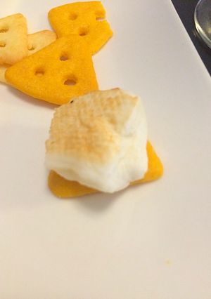 生チーズのチーザの焼きハンペンサンド-レシピのメイン写真