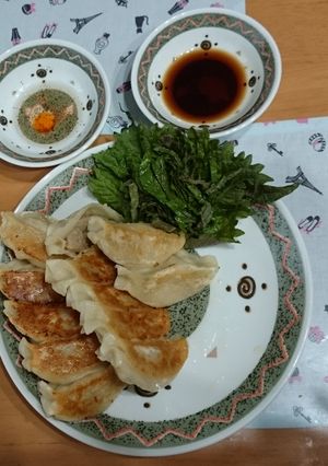 夏にも負けないさっぱり餃子-レシピのメイン写真