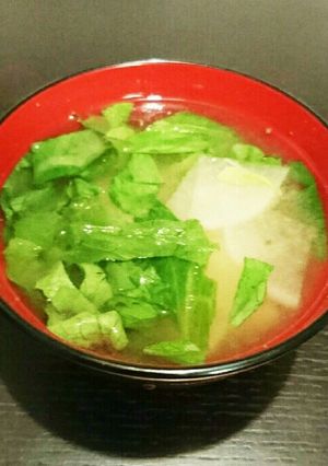 彩り鮮やか☆レタスと大根のお味噌汁-レシピのメイン写真
