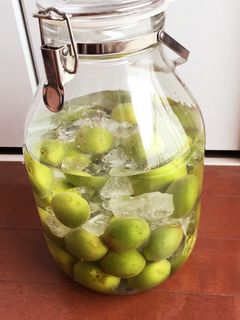 初めての梅酒♪ 経過観測中2016/6〜-レシピのメイン写真