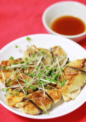 夏におすすめ茄子巻き餃子-レシピのメイン写真