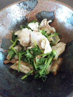 パクチーと豚バラのナンプラー炒め-レシピのメイン写真