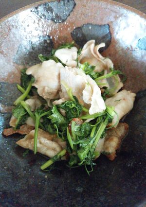 パクチーと豚バラのナンプラー炒め-レシピのメイン写真