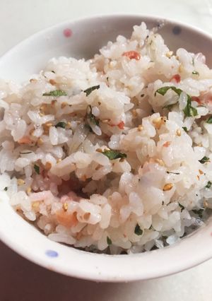 夏のあっさり梅シソ御飯♪-レシピのメイン写真