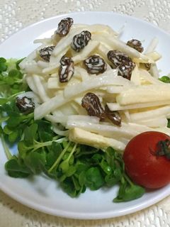 やみつき☆大根とりんごのシャキッとサラダ-レシピのメイン写真