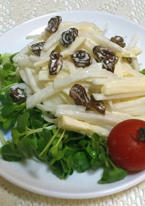 やみつき☆大根とりんごのシャキッとサラダ-レシピのメイン写真