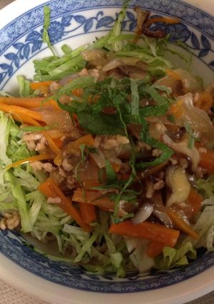 ヘルシー和風ジャージャー麺-レシピのメイン写真