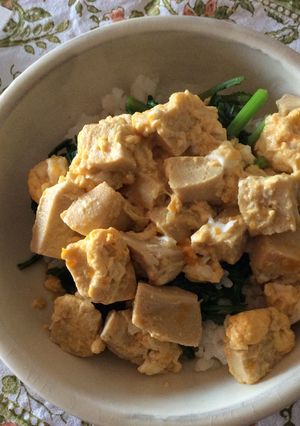 ヘルシー☆高野豆腐の卵とじ丼-レシピのメイン写真