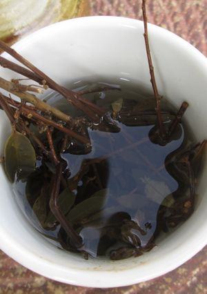 超簡単！イヌツゲ茶-レシピのメイン写真