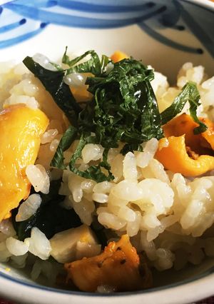 シリコンスチーマーで作る「ホヤ飯」-レシピのメイン写真