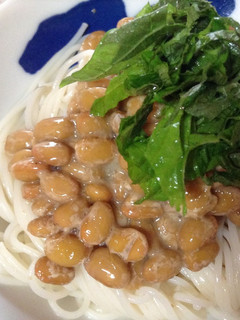 納豆ぶっかけ素麺-レシピのメイン写真