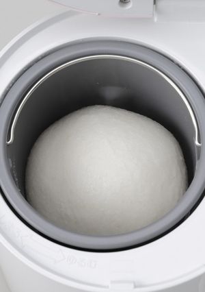 ミニもちつき機「ミニもっち」の使い方-レシピのメイン写真