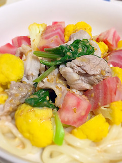 ごまドレで♪簡単!豚肉のサラダうどん-レシピのメイン写真