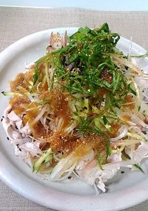 豚しゃぶのたっぷり薬味のっけサラダ♪-レシピのメイン写真