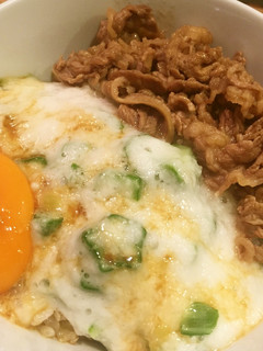 簡単!!スタミナとろろと牛肉の2色丼-レシピのメイン写真