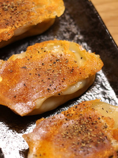 チーズ羽の餃子-レシピのメイン写真