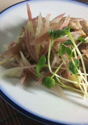 塩豚のみょうが炒め-レシピのメイン写真