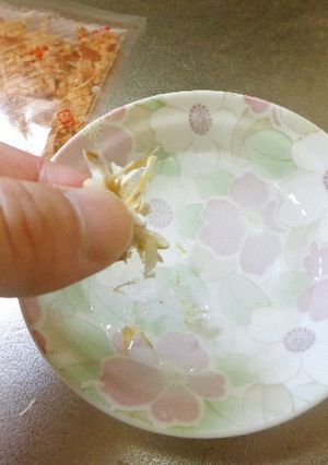 最速のカツオ節水（カツオスイ）-レシピのメイン写真