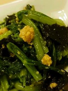 小松菜と鮭フレークの和え物-レシピのメイン写真