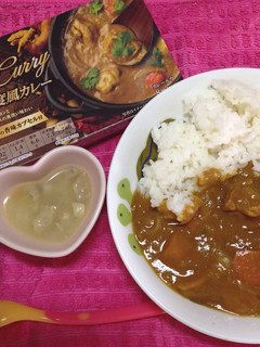 本格インド風カレーと離乳食のポトフ-レシピのメイン写真