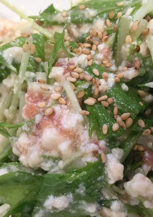 水菜と豆腐のさっぱり梅サラダ-レシピのメイン写真