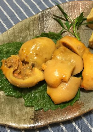 ホヤの味噌漬け♡-レシピのメイン写真
