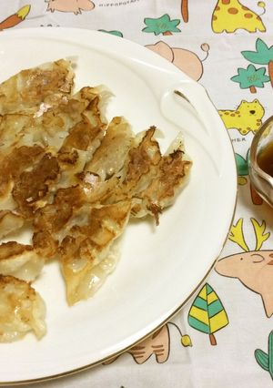 おいしい!ギョウザ「もどき」-レシピのメイン写真