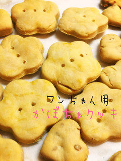 犬用おやつ*かぼちゃクッキー-レシピのメイン写真