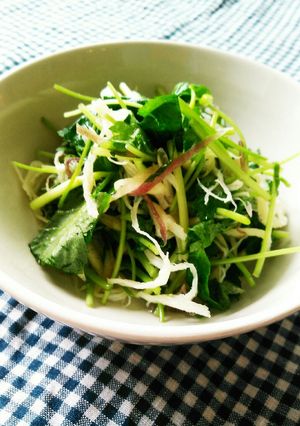 うま味たっぷり香味野菜のおつまみサラダ-レシピのメイン写真
