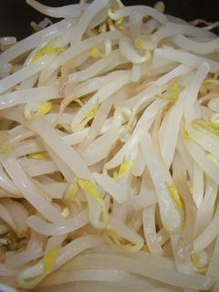 水から茹でる!歯ざわりシャキシャキもやし-レシピのメイン写真