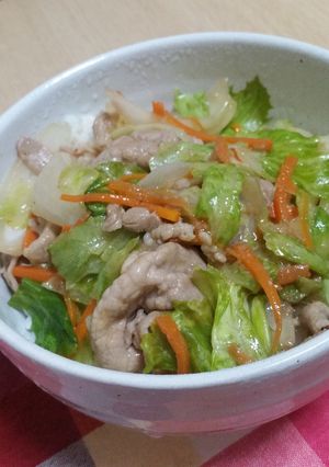 ヘルシー！簡単！野菜の摂れる豚丼＊＊-レシピのメイン写真