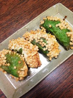 変わり揚げ餃子-レシピのメイン写真