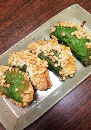 変わり揚げ餃子-レシピのメイン写真