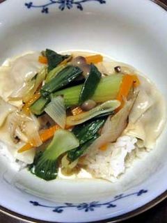 野菜あんかけ餃子どんぶり-レシピのメイン写真