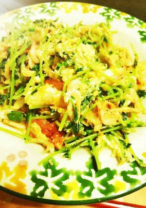 お酒に合う★豆苗と桜えびの卵とじ-レシピのメイン写真