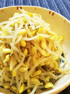 焼肉屋さんのもやしナムル-レシピのメイン写真