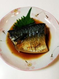 鯖の醤油煮-レシピのメイン写真