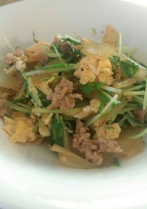 子供もパクパク水菜とひき肉の炒め物-レシピのメイン写真