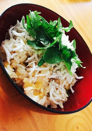 天むす風しらすの大葉ご飯-レシピのメイン写真